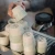 Niebieski Kubek 80ml - Espresso Cup Celadon Blue - Loveramics Dale Harris