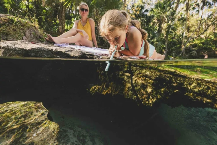 Life Straw SIP Essential Lguna Teal 2.webp