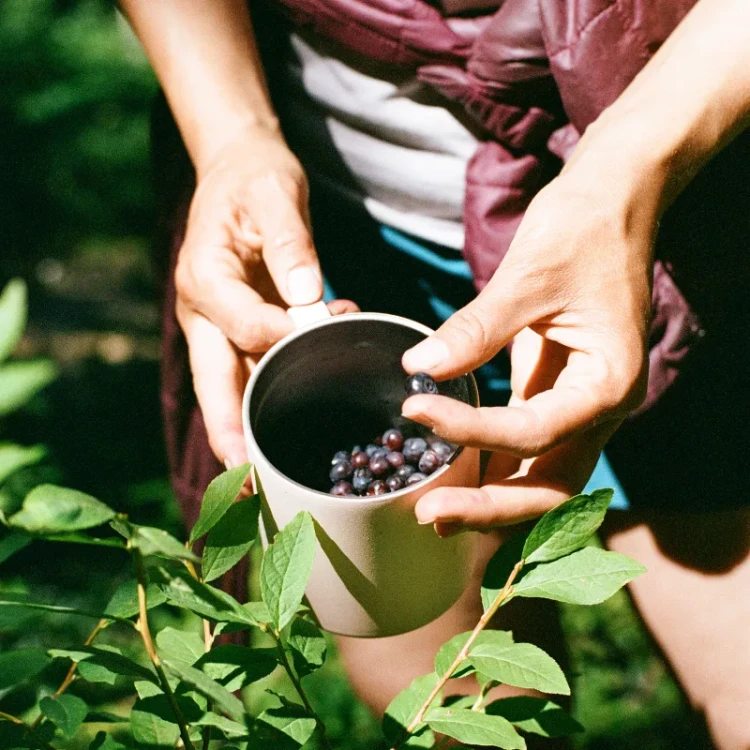 MiiR Camp Cup - kubek kempingowy jasnoróżowy 12oz / 0,35l